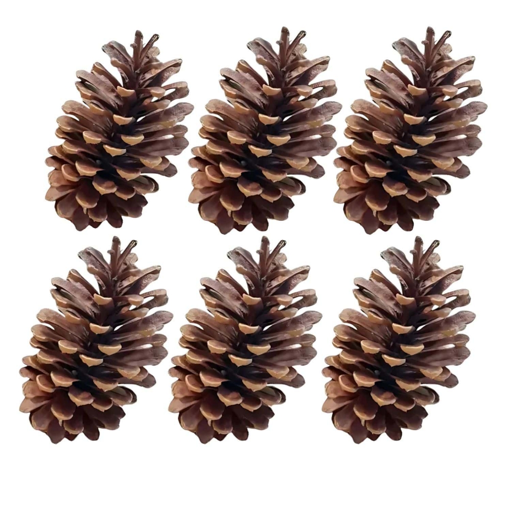 Enfeite Pinha 6un Florarte