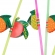 Canudo Decorado Com Frutas Flex Strawplast 6mm 10un