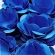 Forminha De Flor Gardenia Azul Royal Nb - 40 Un