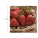 Guardanapo Morango 33x33 Cromus - 20un