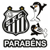 Decoração De Bolo Do Santos Regina 4un