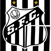 Painel De Festa Aniversário Do Santos Regina 1,26m X 88cm