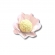 Forma Style Rosa Aqua 40 Un - Ultrafest