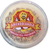 Amendoim Sem Pele Com Alho Amendolândia 1,05kg