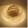 Mangueira De Led Worno 127v 25 Metros