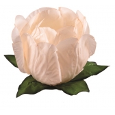 Forma Princesa Creme 30 Un - Decora