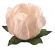Forma Princesa Creme 30 Un - Decora