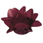 Forma Lirio Marsala 40 Un - Decora