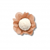 Forma Style Ouro Rose 40 Un - Ultrafest